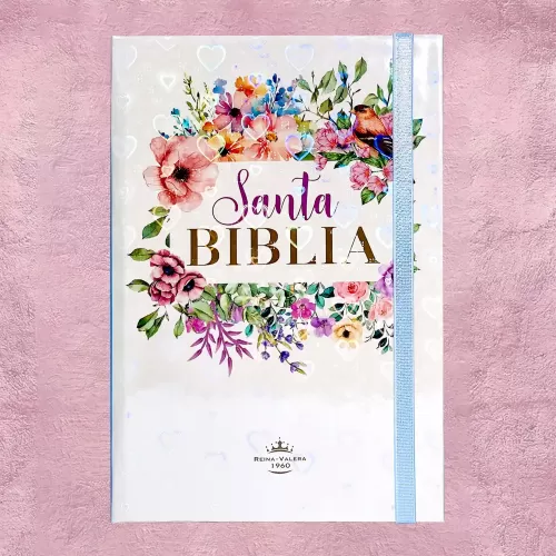 Biblia Liga Celeste