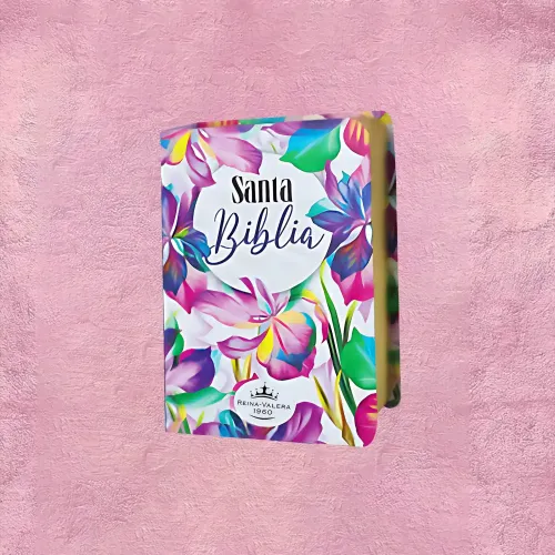 BIBLIA DE BOLSILLO 1
