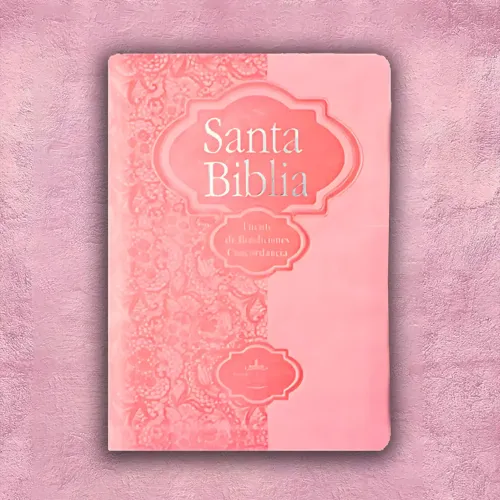 BIBLIA DE PROMESA 3