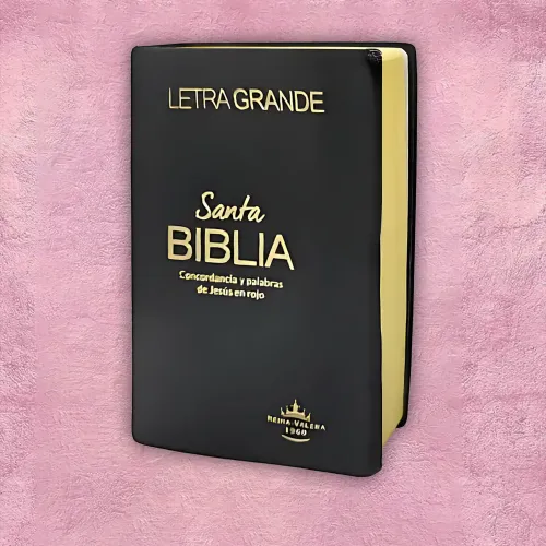 Biblia - Negra c/ tapa flexible