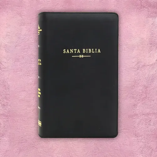 Biblia Holman Negra
